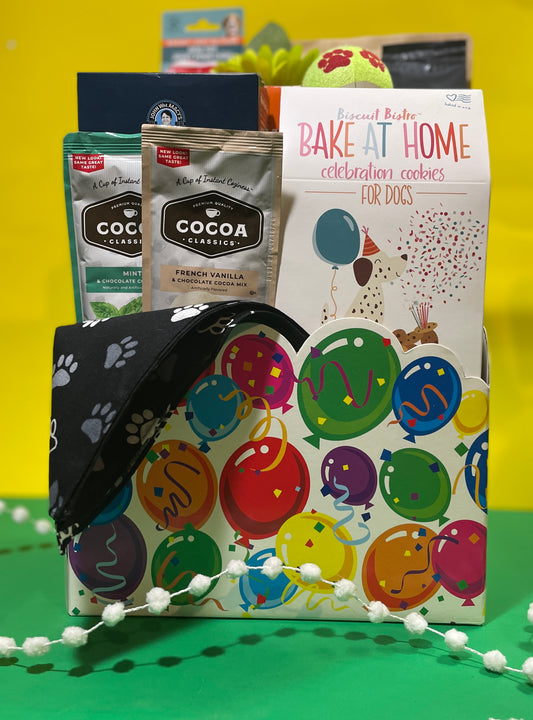 "Gotcha day" Celebration Big Box