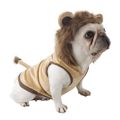 Cat or Pup Lion costume