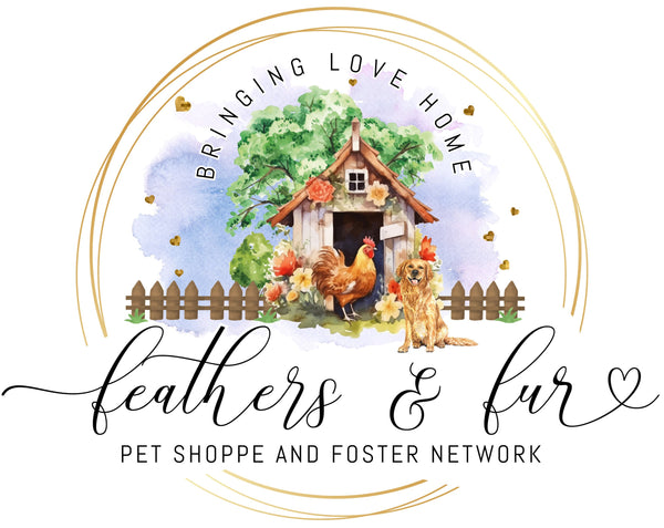 Feathers & Fur Pet Shoppe and Foster Network