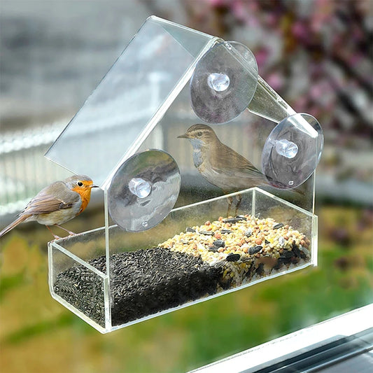 Window Bird Feeder