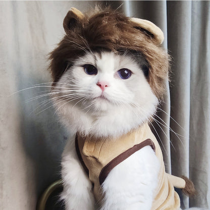 Cat or Pup Lion costume