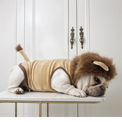Cat or Pup Lion costume